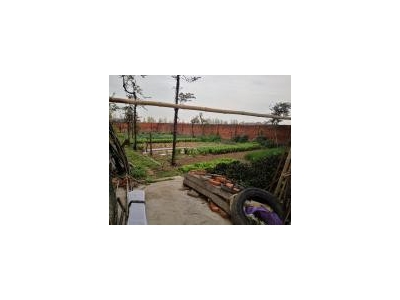 (出售) 宜昌当阳大型厂房，福利院低价出售。图4
