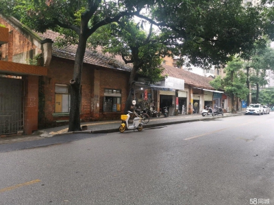 南宁市西乡塘区(出租) 综合楼大楼5楼出租，面积483平米。图2
