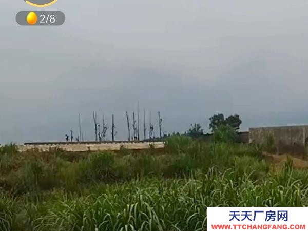 文山(出租) 环保证都有。离城区也远
