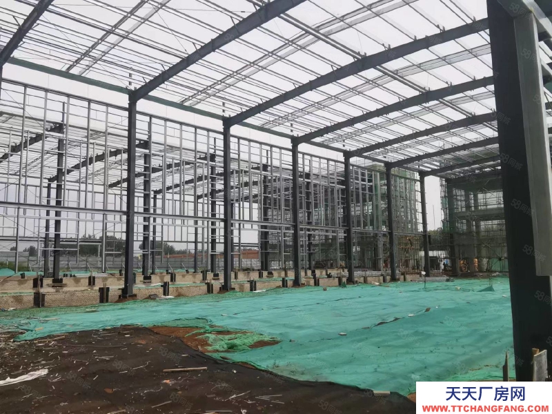 保定 高碑店  京南 单层挑高12米轻钢厂房 环评宽松 1200至3300平