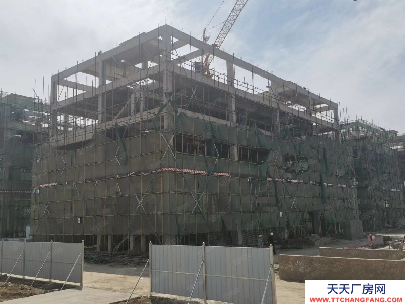 保定 高碑店 企业独栋 厂房办公 库房展厅 食品可环评 现房800平起