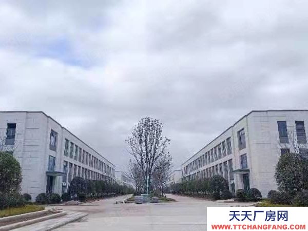 长沙市浏阳区 2层！3层！独栋！出售！开发直招！