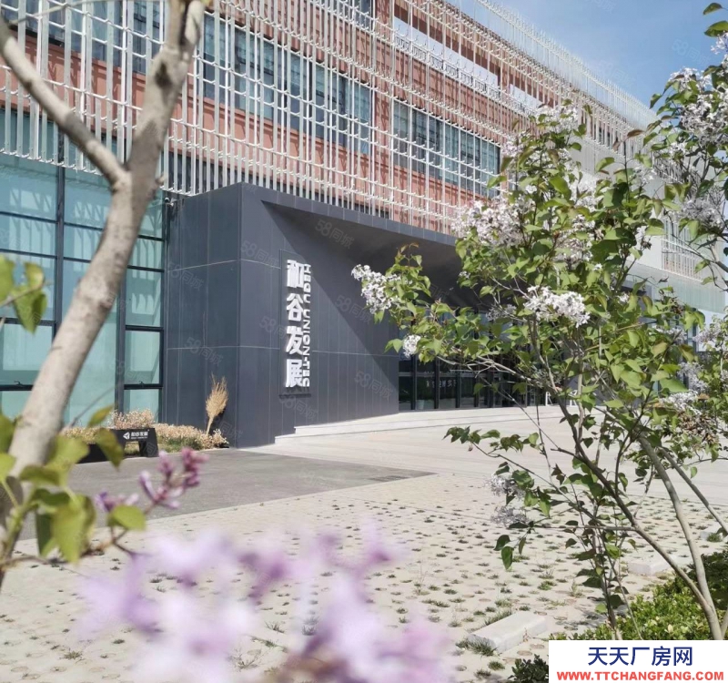 保定 高碑店 企业独栋 研发组装 厂房库房 生产办公 食品 可环评