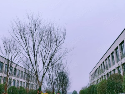 长沙市浏阳区唯一在售的两层独栋厂房，可装行吊