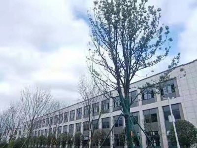 长沙市浏阳区，1200平，2层独栋！可按揭！300万一套。图3