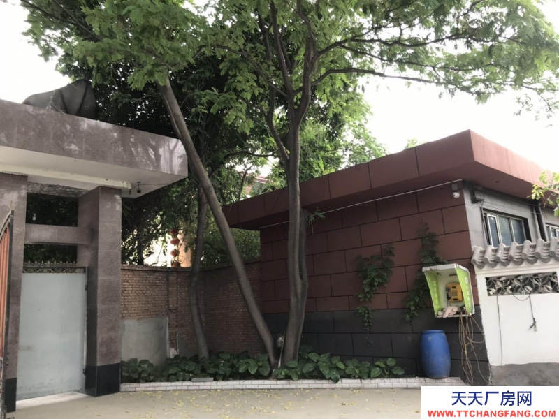 保定 徐水 107国道毗邻雄安新区厂房出租 后院有空地