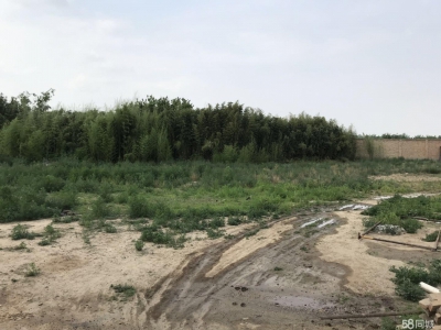 保定 徐水 107国道毗邻雄安新区厂房出租 后院有空地图3