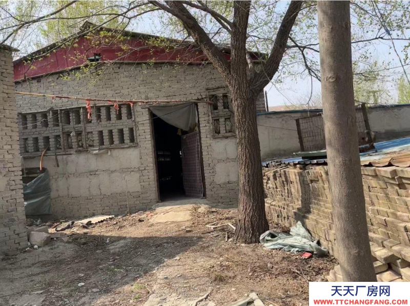 保定 徐水  独门独院养殖场，后边是山。放牧方便，使用权，使用权