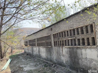 保定 徐水  独门独院养殖场，后边是山。放牧方便，使用权，使用权图2
