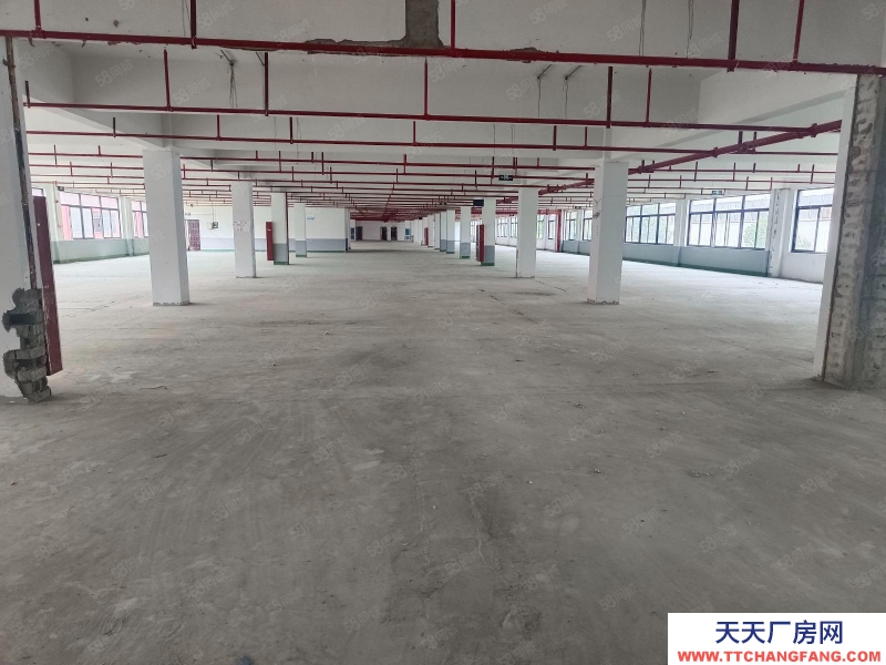 杭州桐庐(出租) 独门独院花园式厂房20000方单价9块起 可分租，空地大
