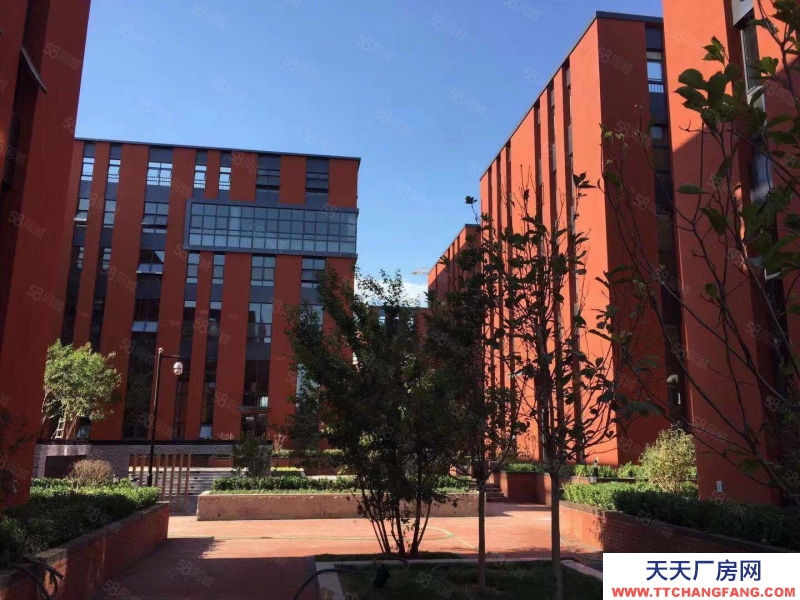 保定 徐水 周边厂房出租出售，买两层送一层，定兴和谷产业园