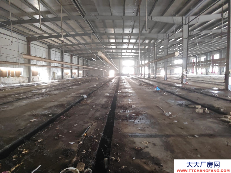杭州桐庐(出租) 各类环评好批， 独门独院 钢结构8000方厂房8亩空地