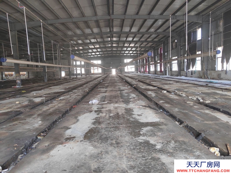杭州桐庐(出租) 各类环评好批， 独门独院 钢结构8000方厂房8亩空地