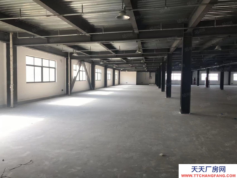 (出租) 合肥长丰标准厂房 家具城 单层2500 可分割 业态不限 生活便利
