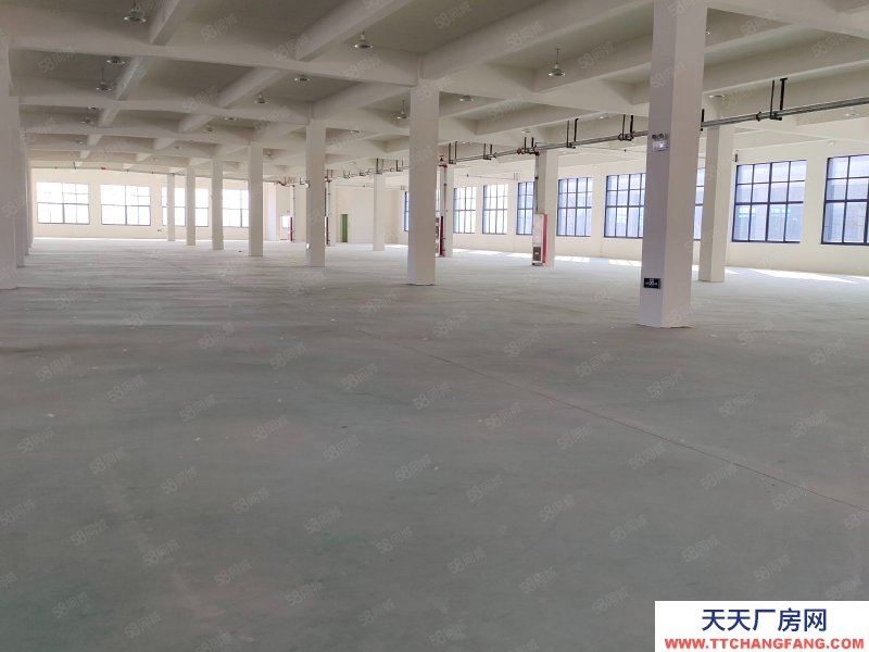 (出租) 合肥长丰双凤工业园2400平1200平厂房出租可做食品，可办环评