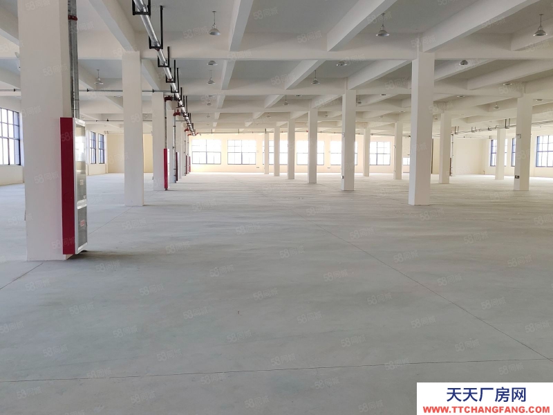 (出租) 合肥长丰双凤工业园2400平1200平厂房出租可做食品，可办环评