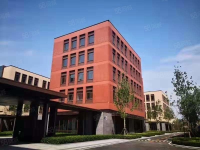 保定 清苑 新楼！不拆！现房！独栋！全新项目，首付两成！！！配宿舍食堂图2