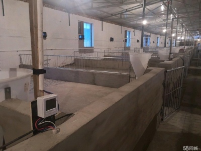 (出租) 自建养殖场，猪 牛 羊均可使用图4