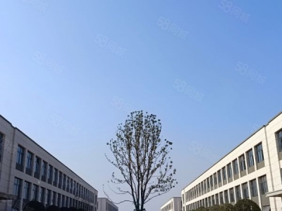 长沙市长沙区唯一在售2层独栋现房 可装航吊 临近机场图4
