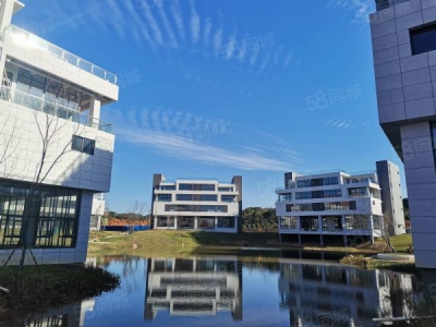 长沙市长沙区金霞3002500平临湖独栋多层厂房可办公生产仓储研发图2