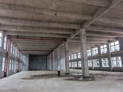 长沙市长沙区2层独栋准现房，8米层高，12米柱距，适合生产的大通间厂房图3