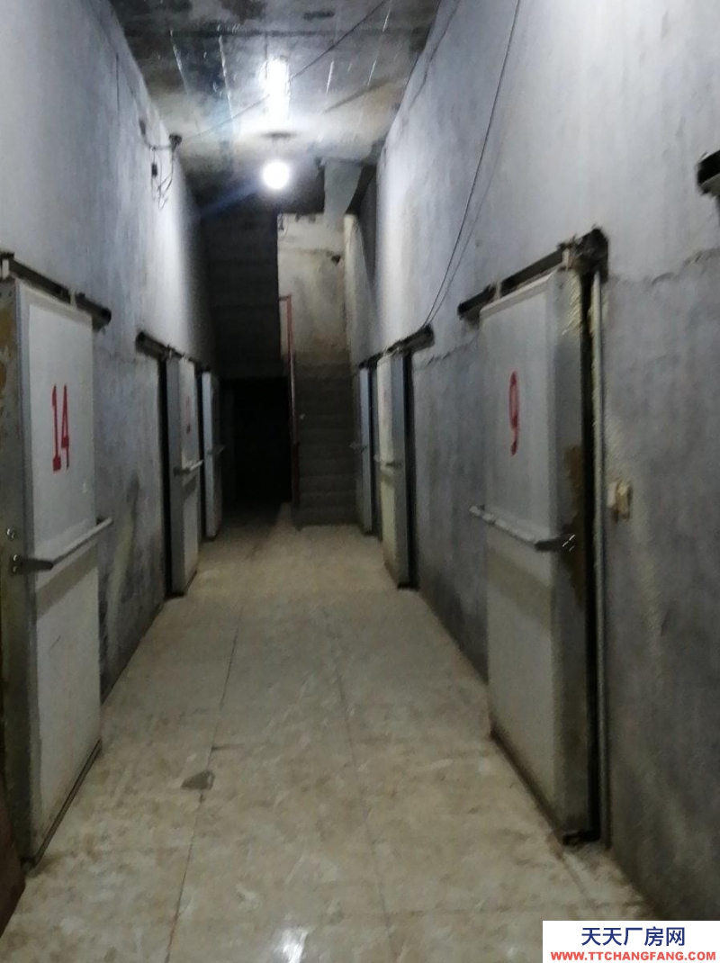 保定 满城 保鲜库21个，空地：2000平。