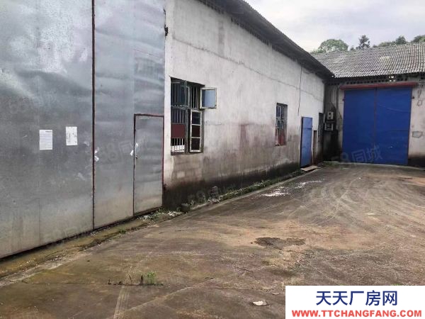 长沙市长沙区跳马1750平仓库单价7元一平出租