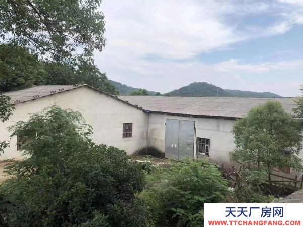 长沙市长沙区跳马1750平仓库单价7元一平出租