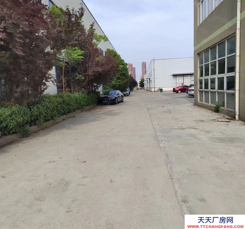 (出租) 合肥肥东镇西路4300平一楼钢结构仓库出租，可分租