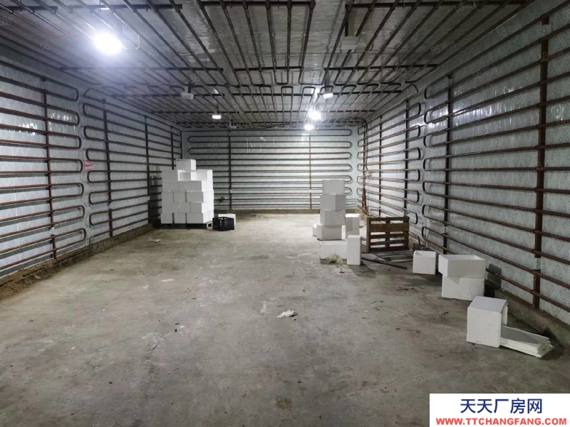 (出租) 合肥肥东龙塘单门独户厂房房冷库出租