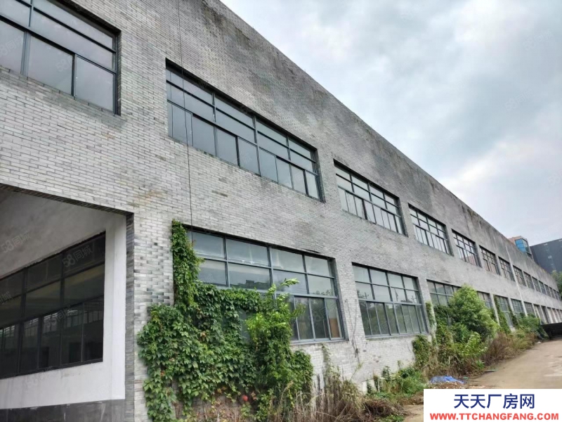杭州桐庐(出租)  平仓12000方 可分租 层高8米 高速出口1公里