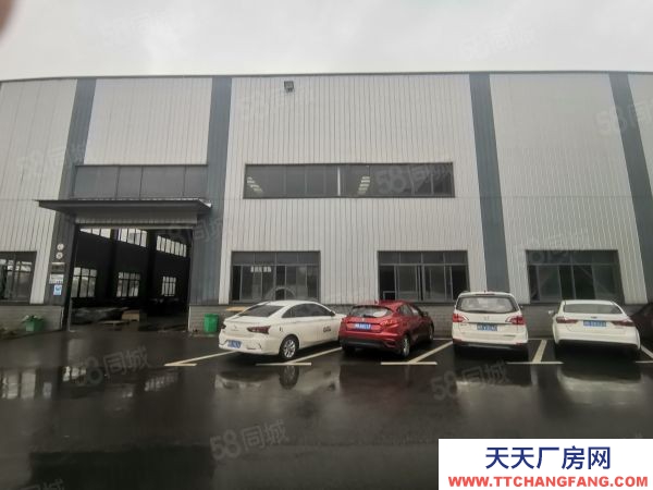 株洲市天元区高新区标厂带带行车