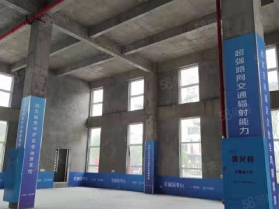 株洲市天元区动力谷纯两层砖混结构厂房1200平米出租丙二类厂房图1