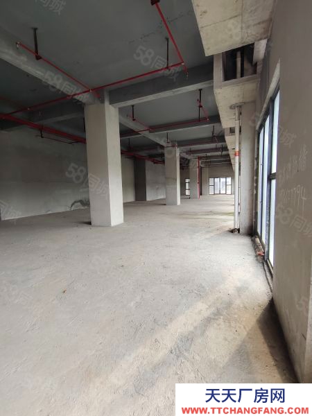 株洲市天元区 租金优惠，交通便利，宽敞明亮，通风良好，毛坯适合各行各业加入