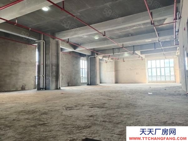 株洲市天元区 租金优惠，交通便利，宽敞明亮，通风良好，毛坯适合各行各业加入