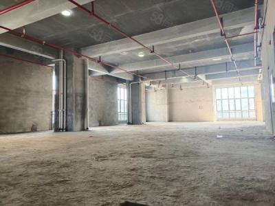 株洲市天元区 租金优惠，交通便利，宽敞明亮，通风良好，毛坯适合各行各业加入图4