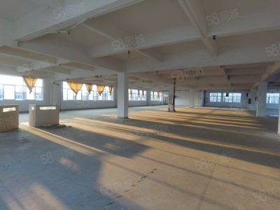 株洲市天元区动力谷砖混结构1200平米纯两层厂房出租图4