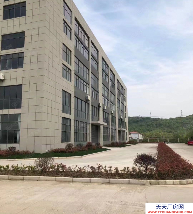 (出租) 合肥 肥东东部新中心单层钢构厂房对外出租 周边配套齐全