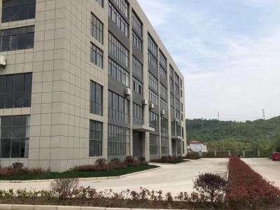 (出租) 合肥 肥东东部新中心单层钢构厂房对外出租 周边配套齐全图5