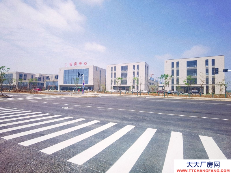 (出售)合肥  肥东循环园 独栋小面积两层厂房 50年产权 仅剩1套 抢购