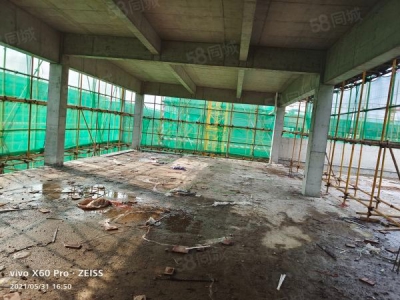 (出售) 精工厂房，首层8.1米层高，随时可参观，赠送400平露台图3