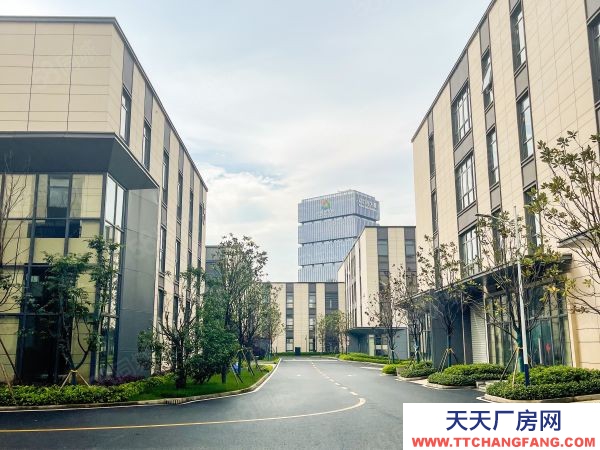株洲市天元区动力谷核心区小面积单层厂房