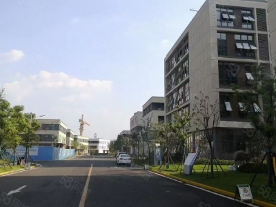 株洲市天元区全新厂房1300平现房出售图3