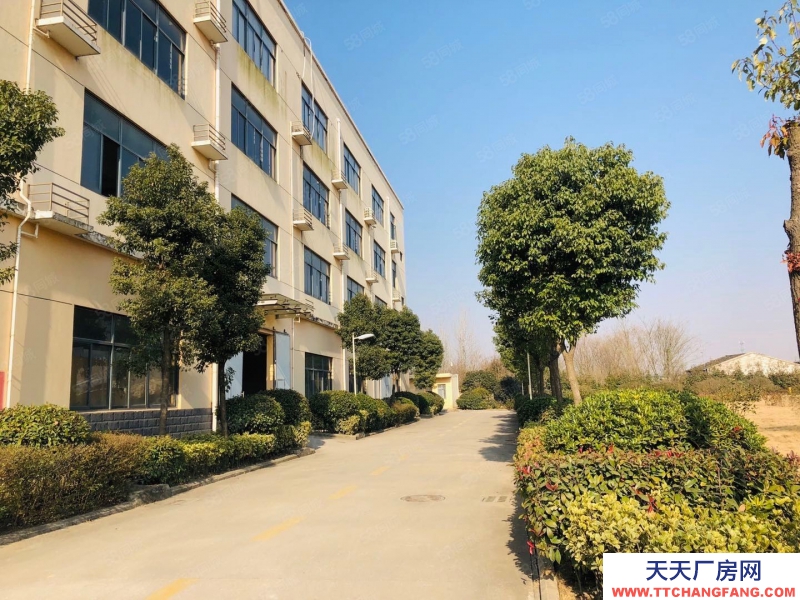 (出租) 合肥 肥西森林大道旁独栋厂房出租，价格优惠