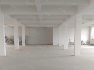 (出租) 合肥 肥西森林大道旁独栋厂房出租，价格优惠图3