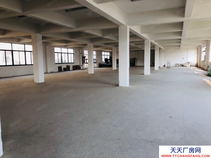 (出租) 合肥 肥西森林大道旁独栋厂房出租，价格优惠