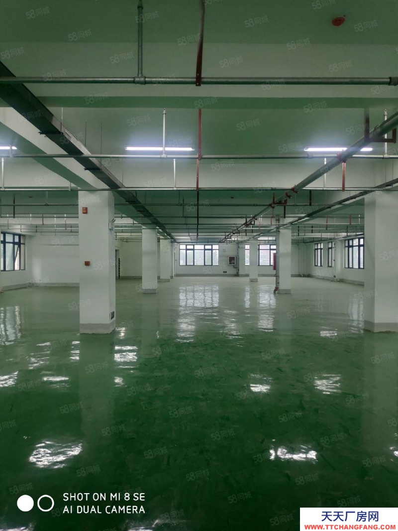 (出租) 合肥 肥西华南城单层厂房仓库5000平有货梯可分割租赁500平起