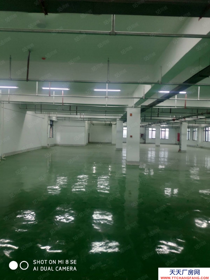 (出租) 合肥 肥西华南城单层厂房仓库5000平有货梯可分割租赁500平起