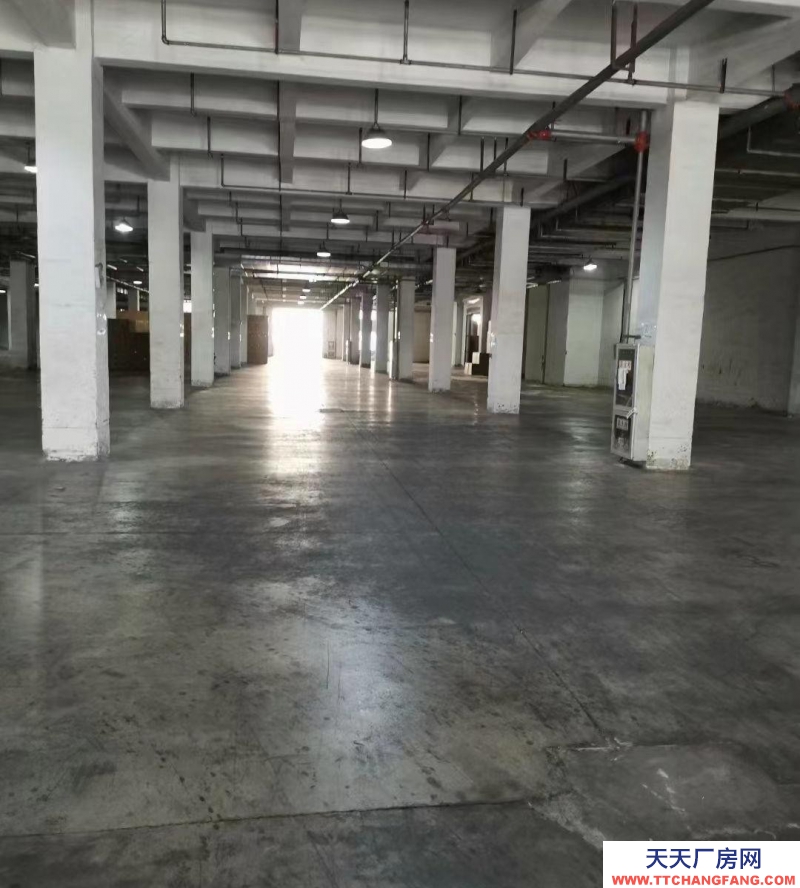 (出租) 出合肥 肥西肥西周边，冷链仓储