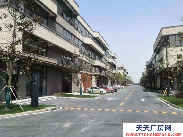 (出租) （芜湖 鸠江全新厂房出租出售，首层8.1米，环境好，好招工